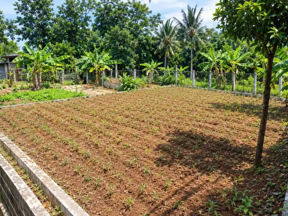 Tanah Strategis di kawasan berkembang Cocok untuk Villa dan Bisnis
