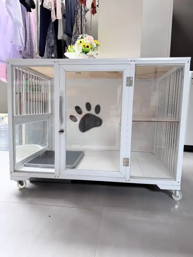 Cat room kandang kucing