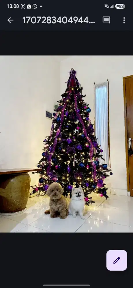 Pohon natal bekas 225cm