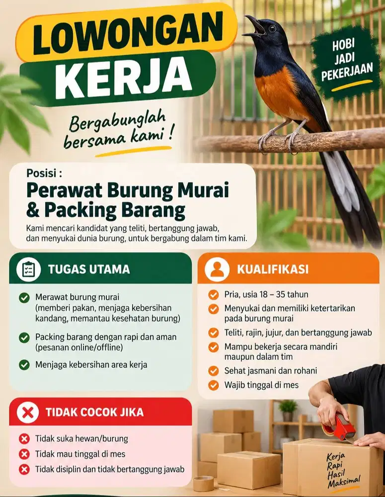 LOKER PERAWAT BURUNG MURAI & PACKING BARANG – WAJIB TINGGAL DI MESS