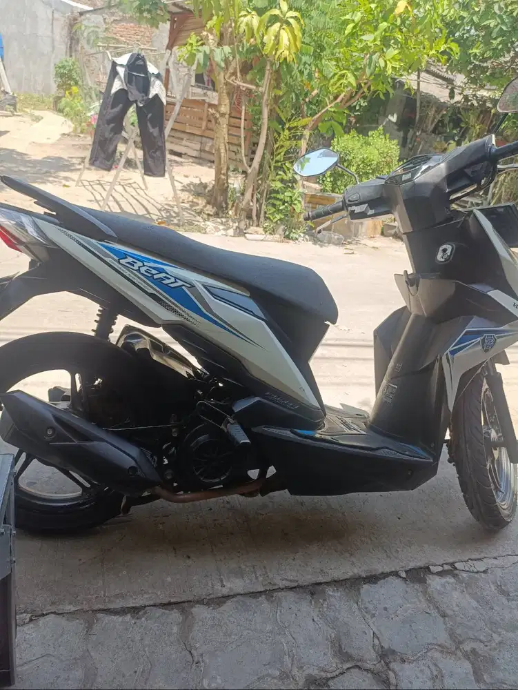 Honda beat 2019