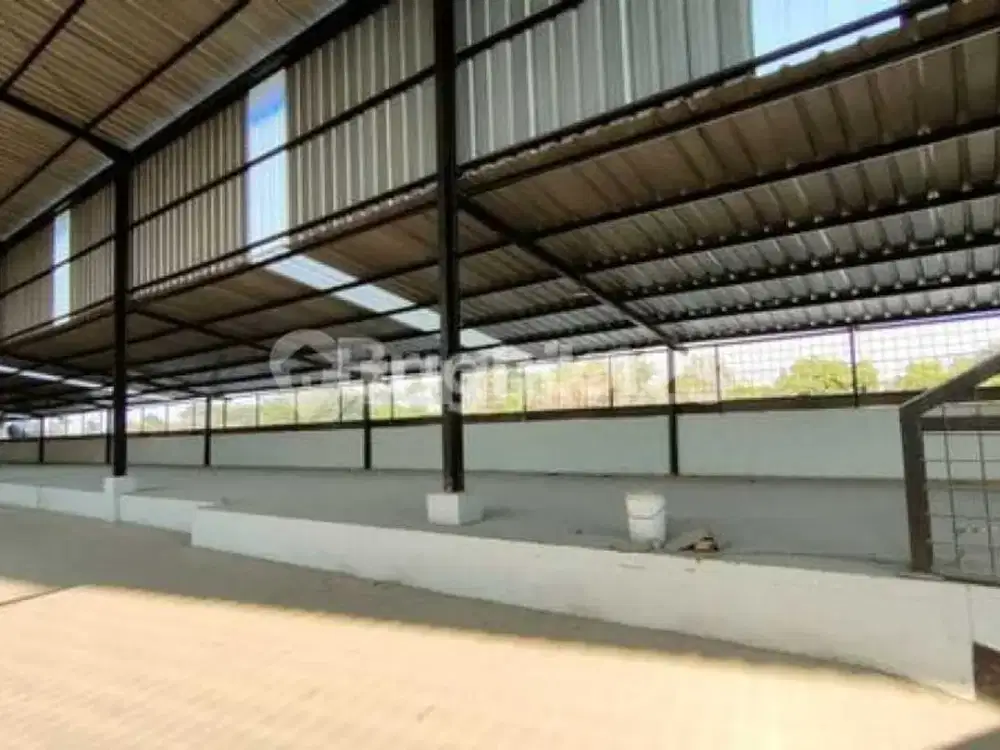 *disewakan Gudang Bagus Legok Tangerang Siap Pakai Ukuran 31 X 48 M2 Ceiling Tengah 8,77 M Bisa Di Lewati Kontainer..*(kode Rmrg 2631)