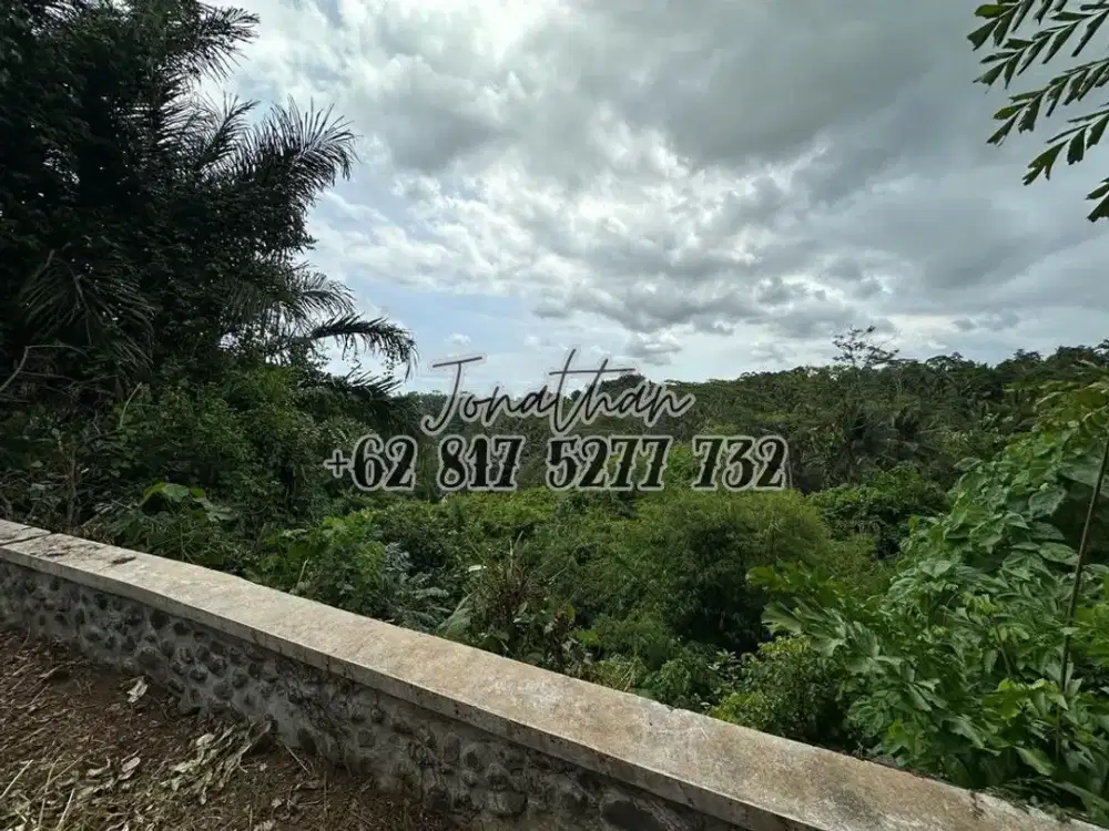 DIJUAL TANAH PREMIUM ZONA PARIWISATA DI SAYAN UBUD