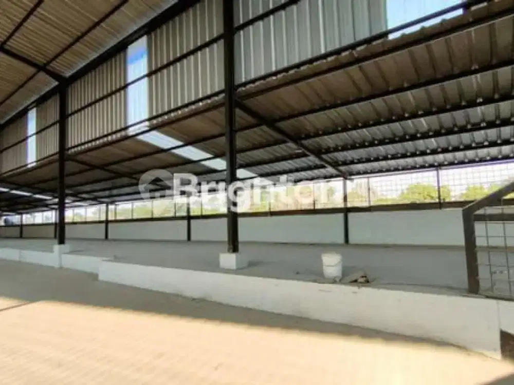 GUDANG BAGUS LEGOK TANGERANG SIAP PAKAI UKURAN 31 X 48 M2 CEILING TENGAH 8,77 M BISA DI LEWATI KONTAINER (KODE RMRG 2631)