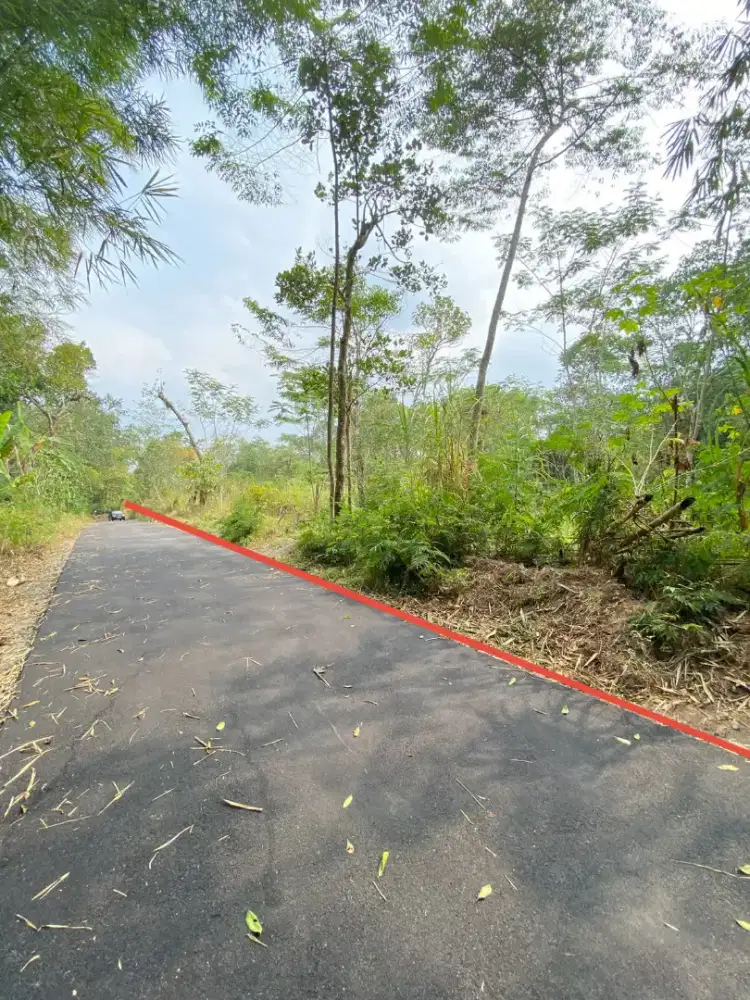 Tanah luas dan murah cocok untuk vila di area Pakem Sleman Yogyakarta