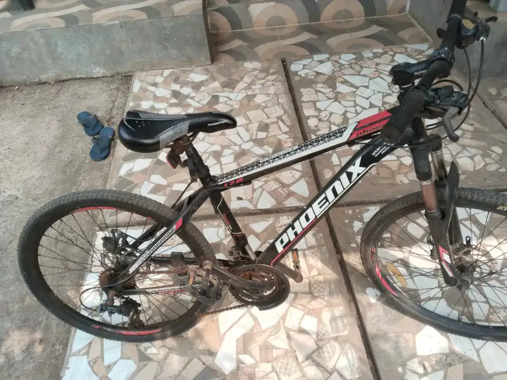 Sepeda Phoenix R24 7speed 3gear