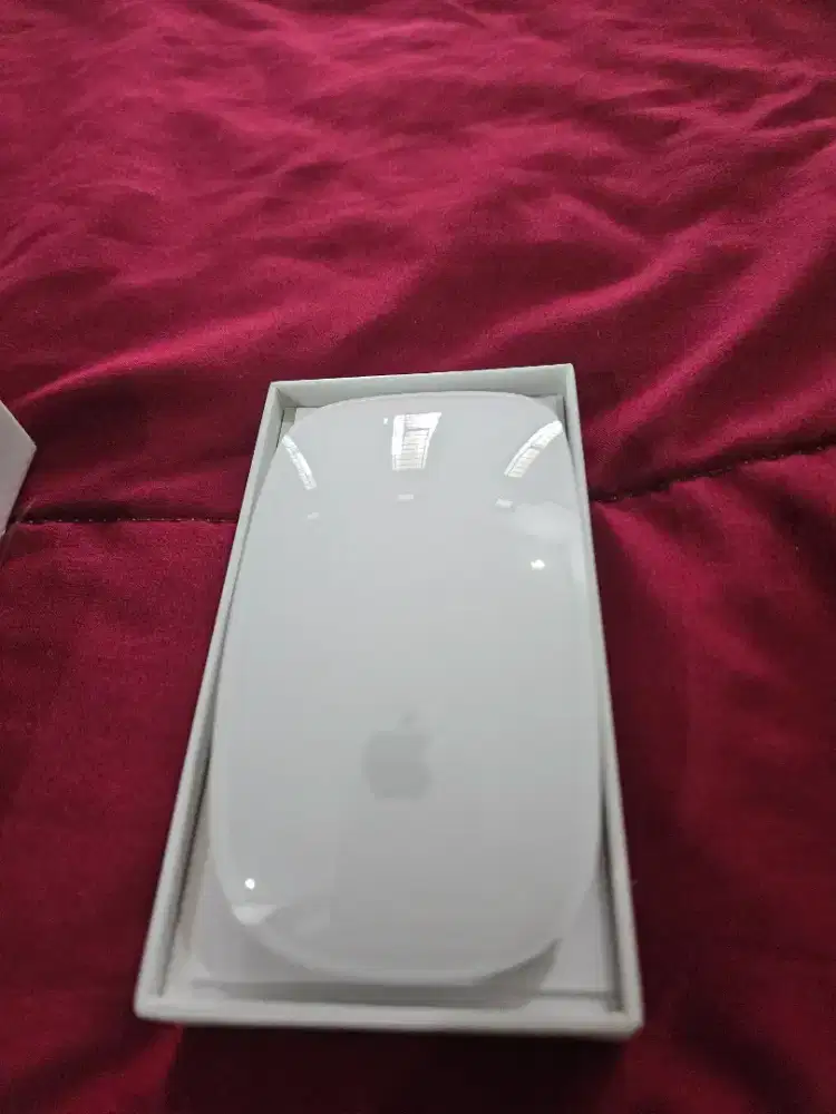FS Magic Mouse 2