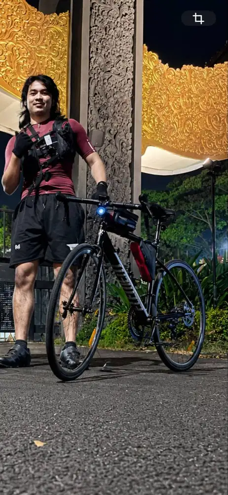 roadbike element curved 11