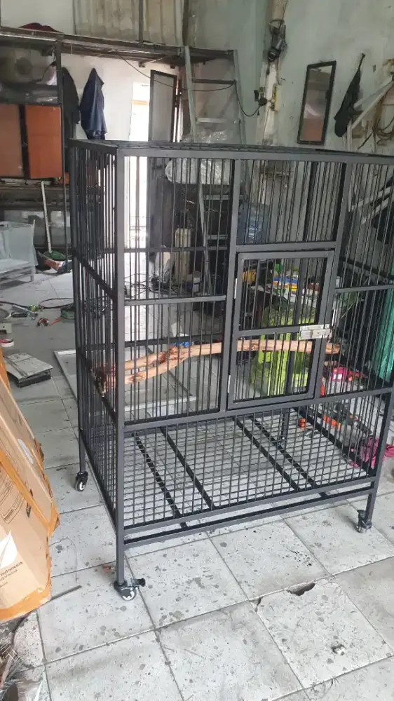 Kandang baru kakatua parrot