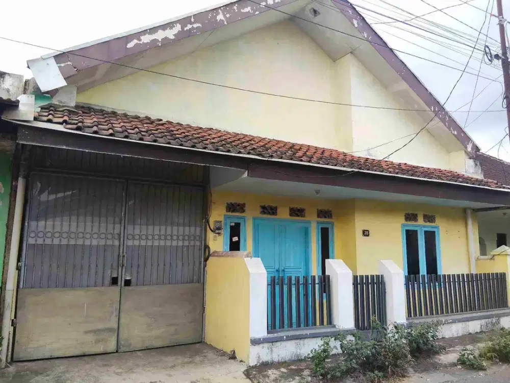 Dijual/Disewakan rumah pusat kota jember