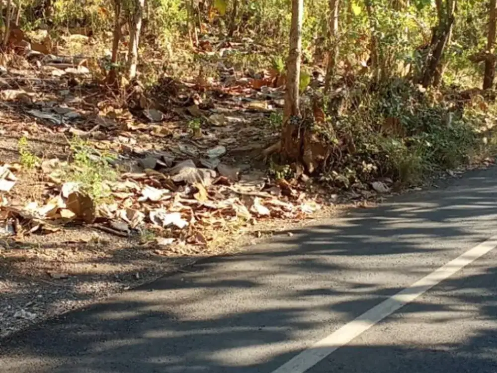 DIJUAL: LAHAN INVESTASI STRATEGIS 1.30 HEKTAR DI SERIRIT, BULELENG – BALI