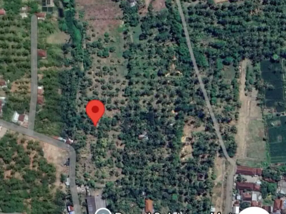TANAH DIJUAL (Los pantai)