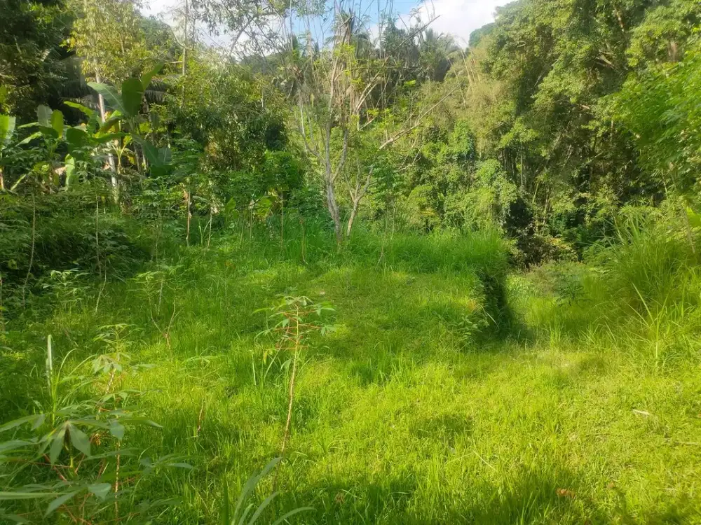 Dijual Tanah di Keliki Payangan Ubud Bali