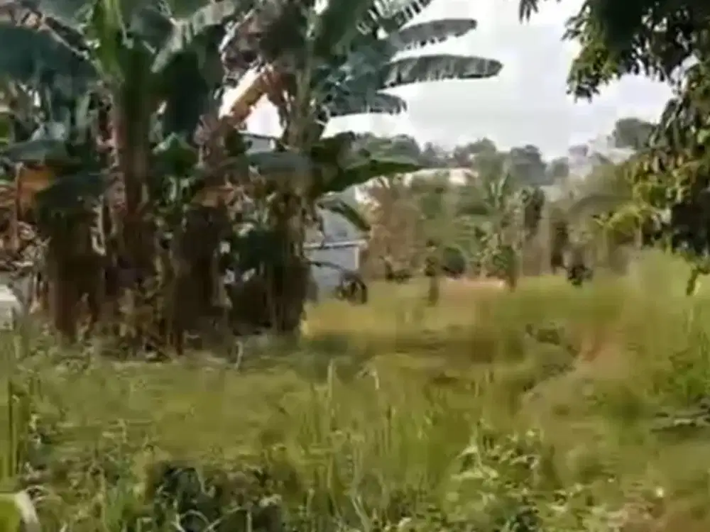BU tanah 500 m2 dekat Bomang Tajurhalang Bogor