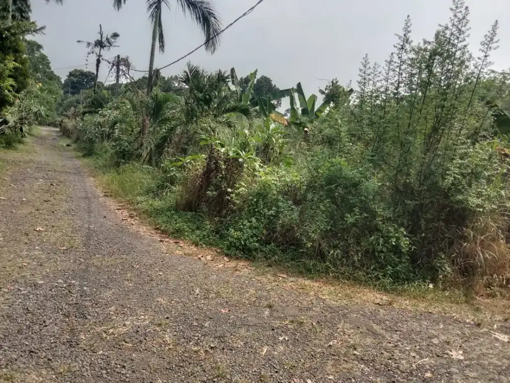 Dijual Murah tanah 1000 m2 dekat Bomang Tajurhalang Bogor