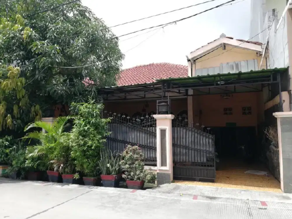 Langka! Rumah 2 Lantai SHM 298 m² di Tanjung Priok – Edisi Lelang KPKNL Murah 1.5 Miliar!