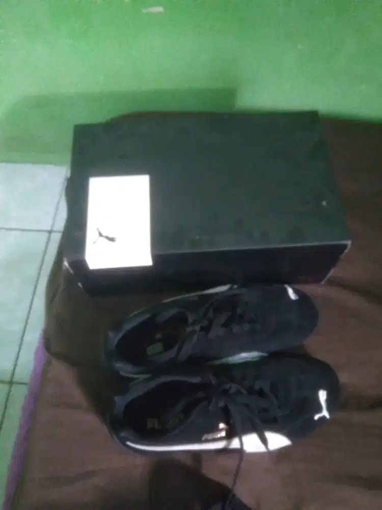 Sepatu fuma speedcast original