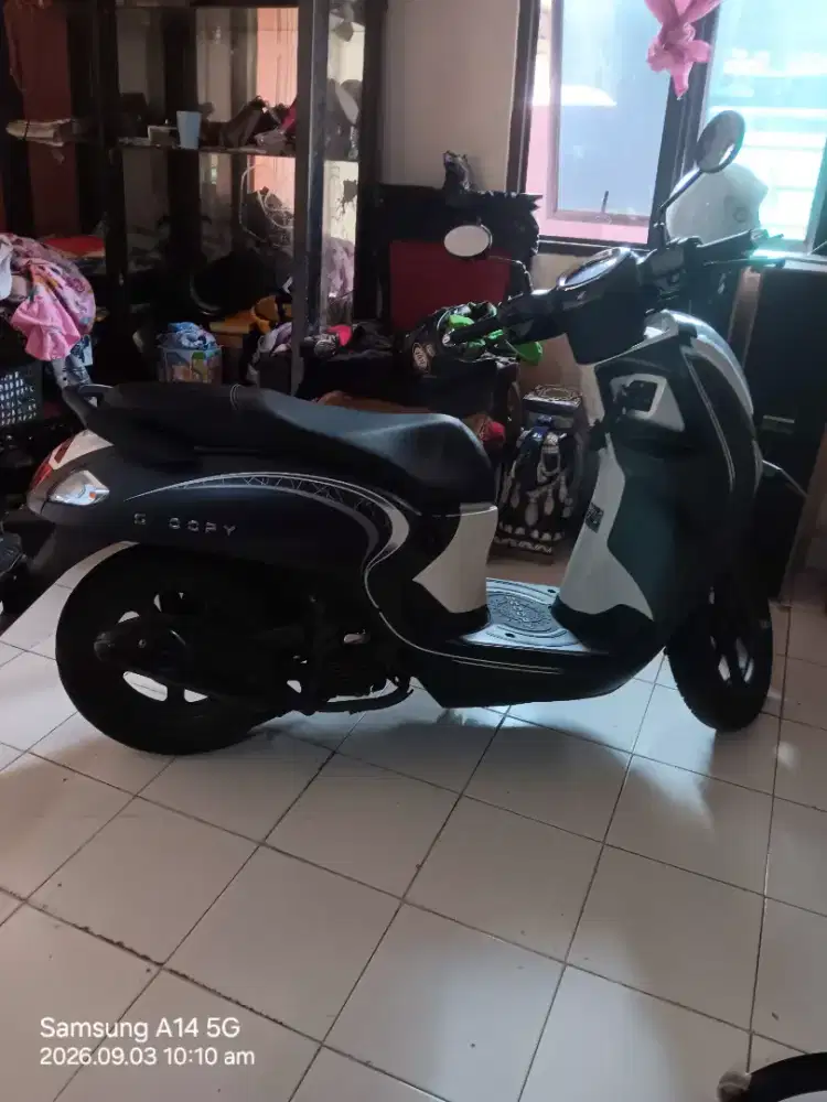 Honda scoopy new