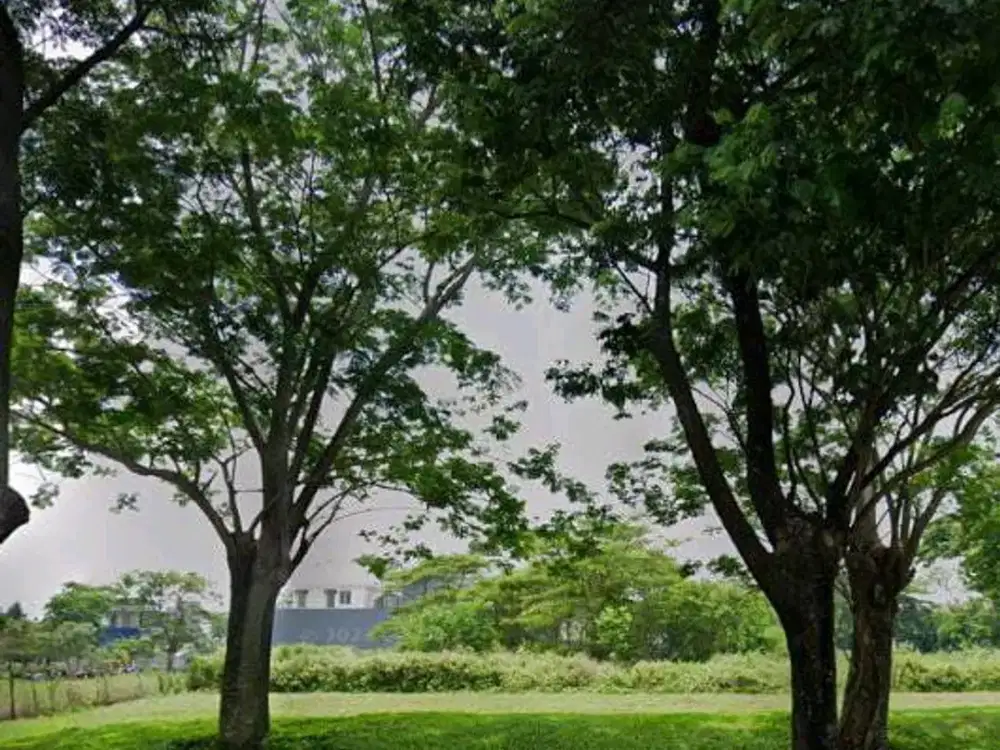 AUD.A045 Tanah Usaha sebelah Ciputra World Surabaya Sudah dapat Passive Income, Strategis
