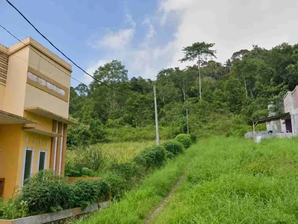 tanah 8.185 m2 kemiling pinang jaya