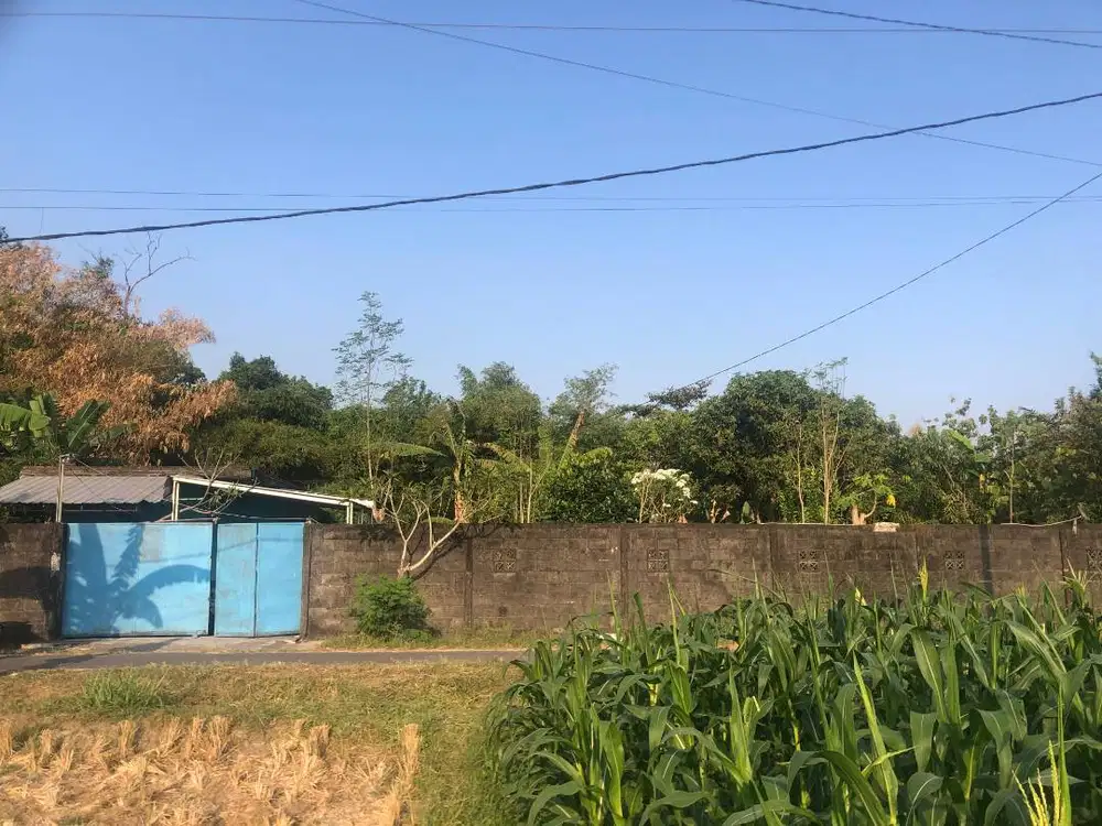 Tanah + Rumah + 15 Kolam Ikan + 2 Sumur+ 833 meter Sleman Berbah