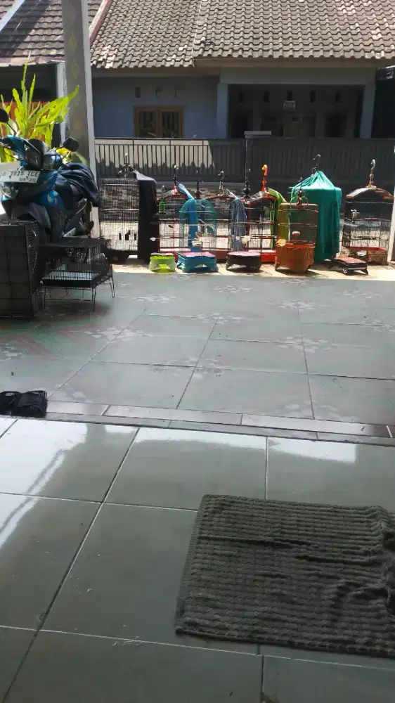 Perawat bersihkan kandang burung