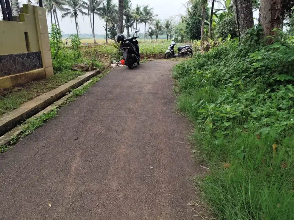 Tanah Kavling Sindang Jaya - SHM 70Jtan - Cocok Invest/Hunian - Bisa Cicil 30x - 10 Menit Suvarna Sutera