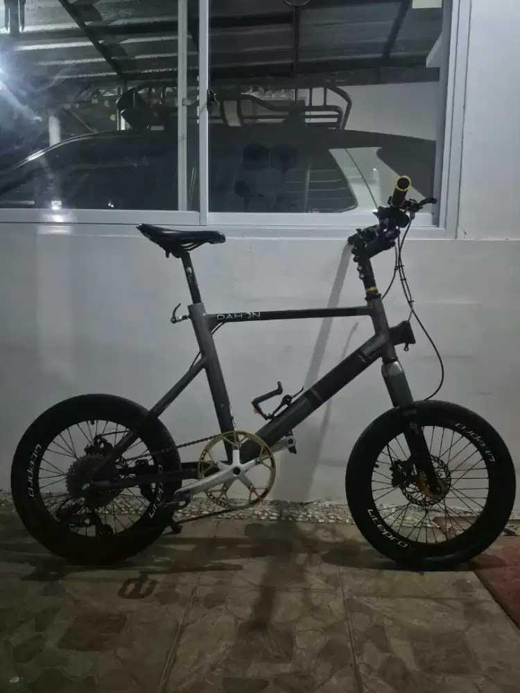 Minivelo 20 custom