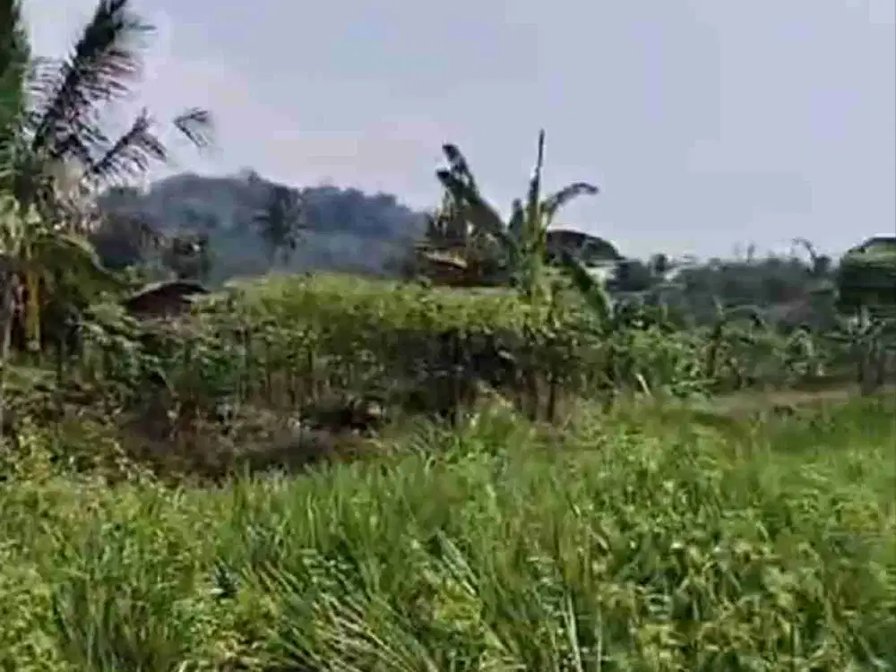 Jual lokasi Sejuk Sartipikat Di cijeruk bogor Buat Villa
