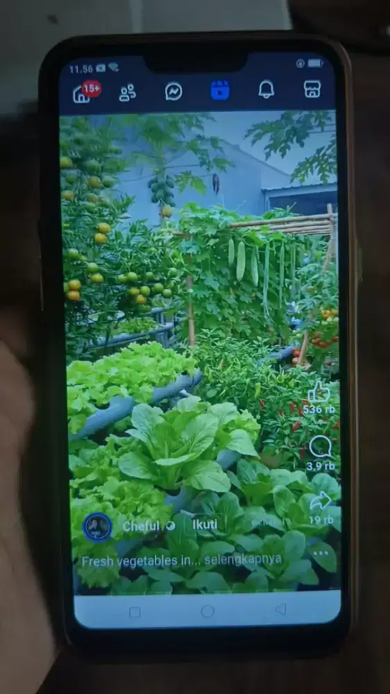 jual hp oppo layar bsar enak nonton YouTube harga 495ribu