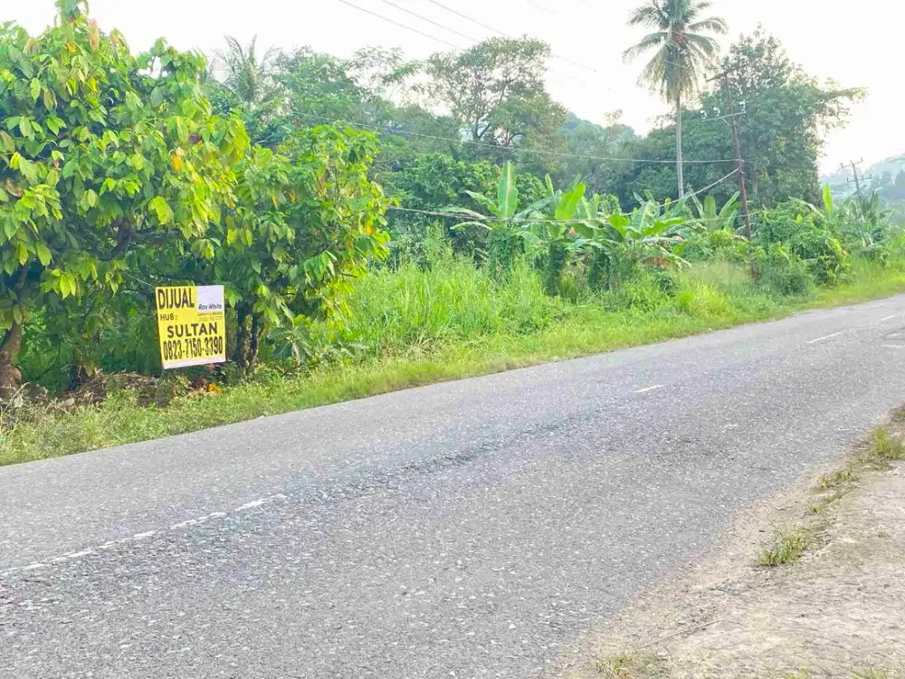 tanah 6.475 m² dekat mutun way ratai