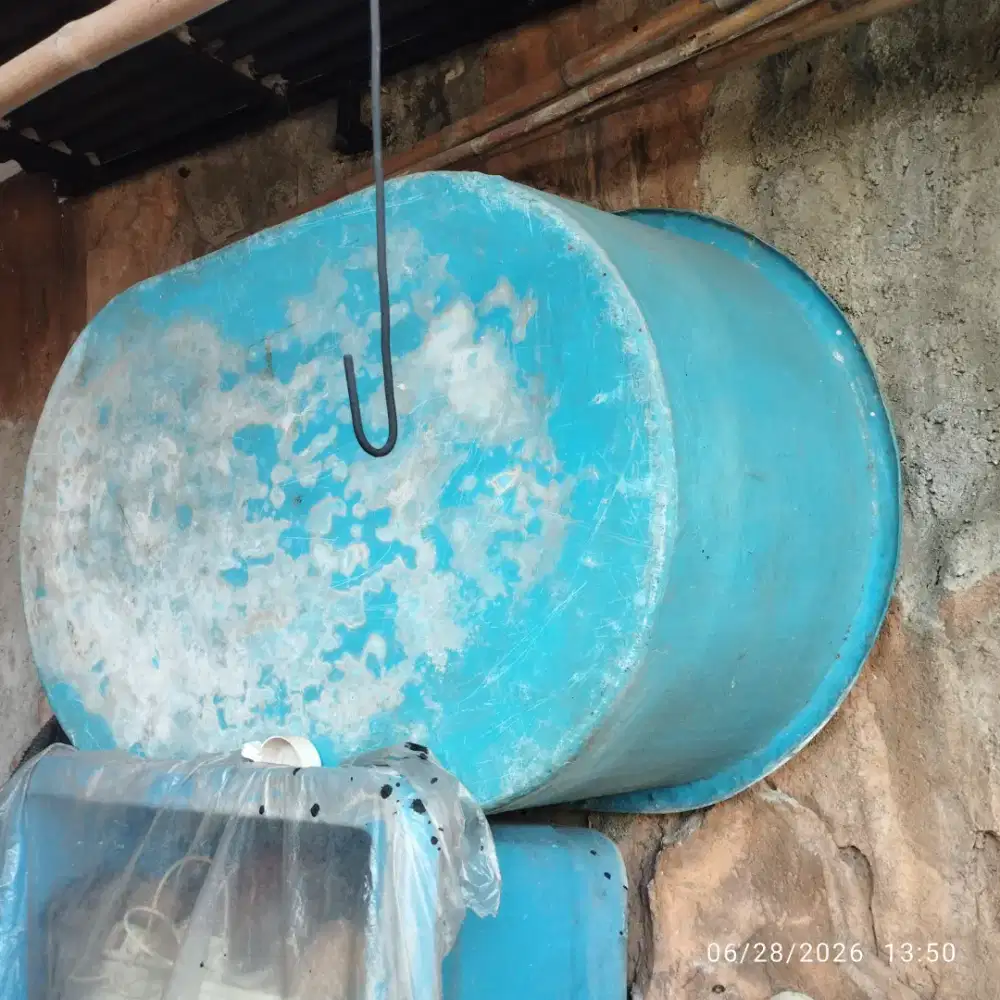 Bak fiber ikan bentuk oval