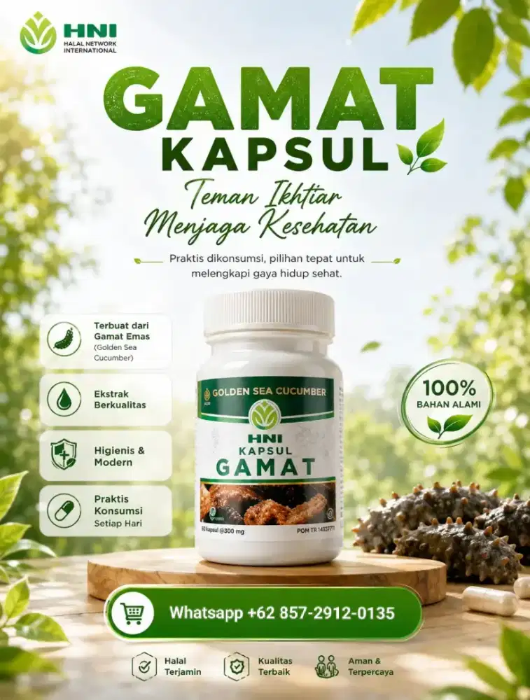 Gamat Kapsul HNI Original
