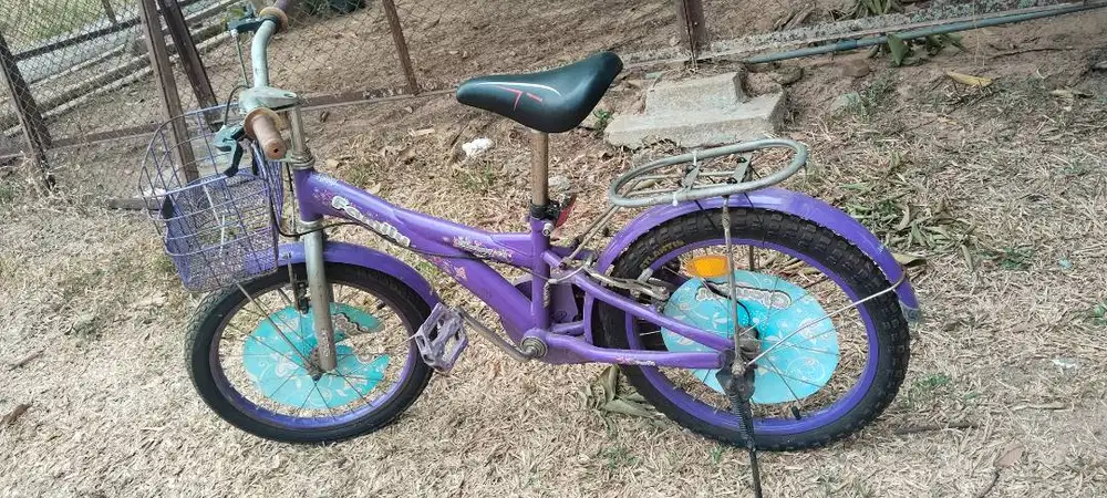 Dijual Sepeda Anak Family