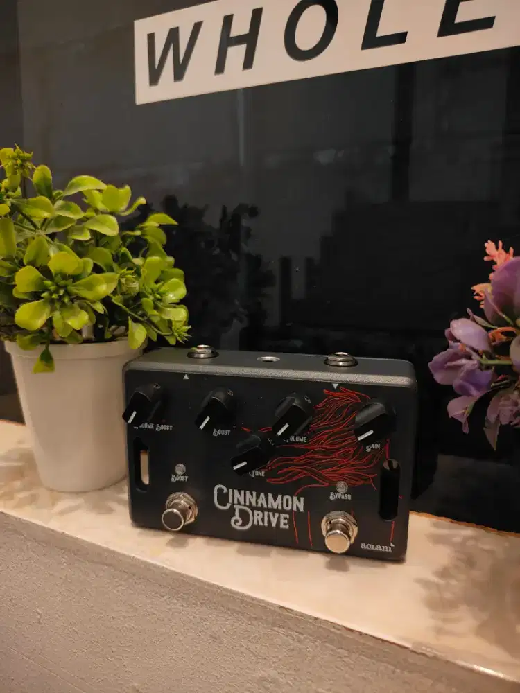 Aclam Guitars Cinnamon Drive