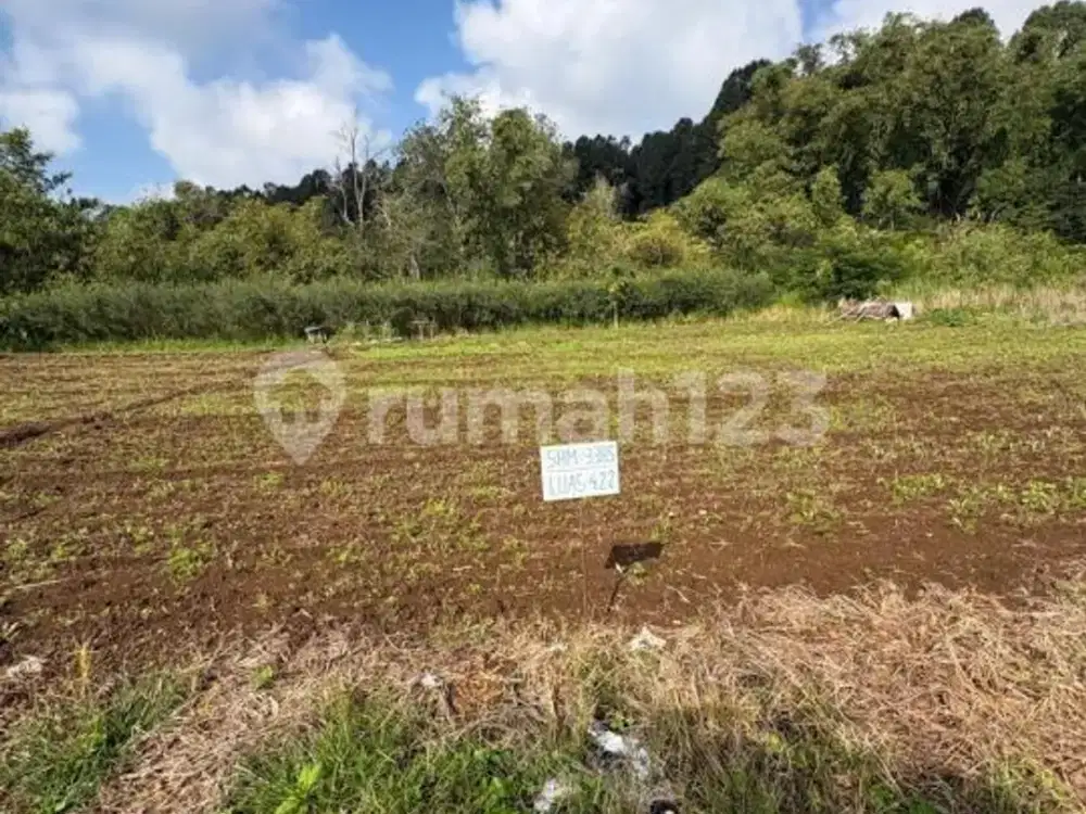 Tanah Kapling untuk Hunian di Baturiti Dekat Bedugul Bali