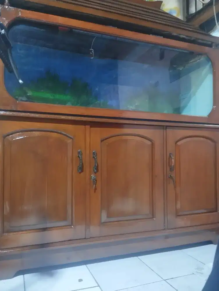 Aquarium ikan full kayu jati