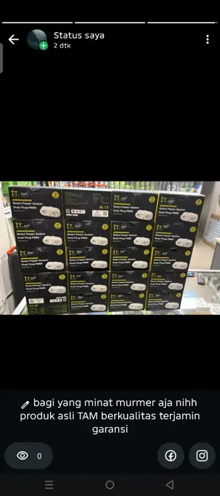 Smart Power Dual plug PS02