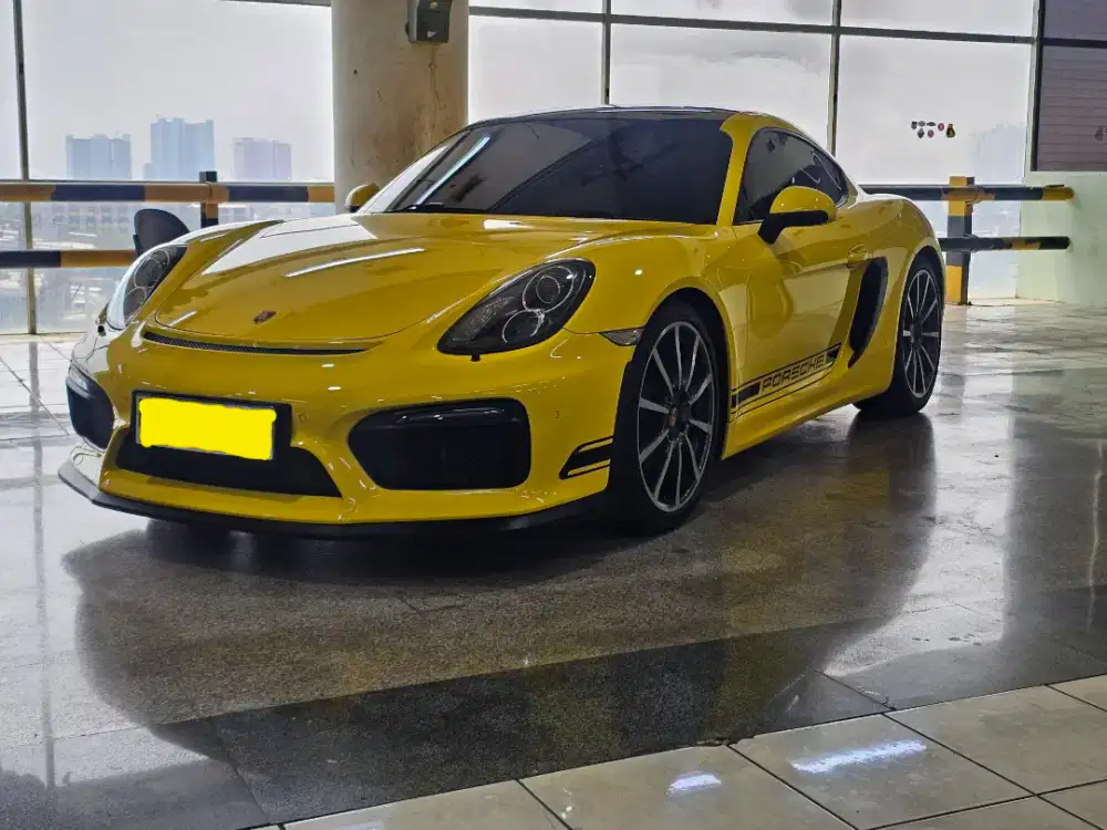 Porsche Cayman 981 2013