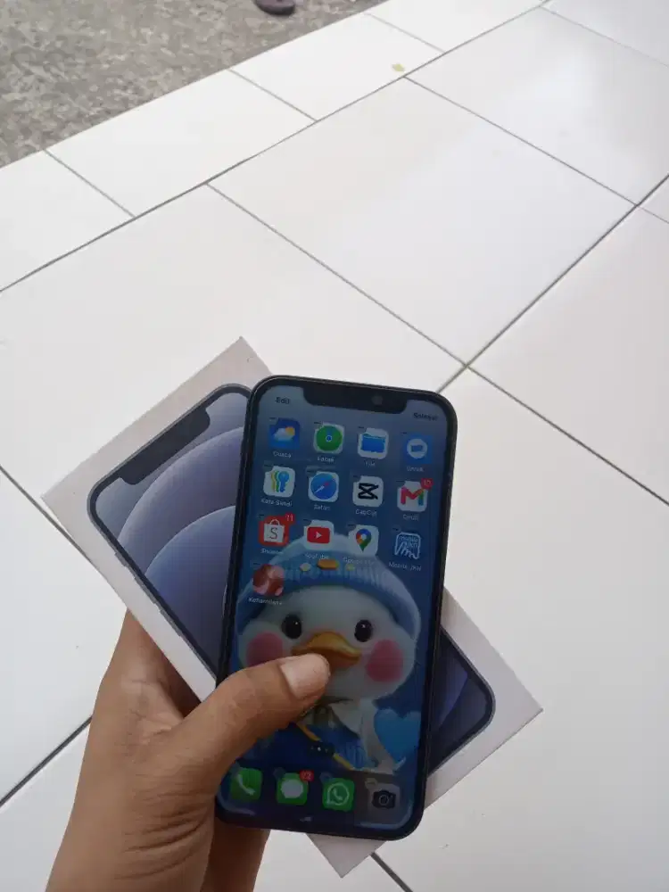 iphone 12 basic inter