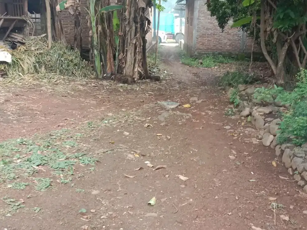 TANAH LELANG Rp230 JUTA DI PATI – SHM, LUAS 1.131 M²