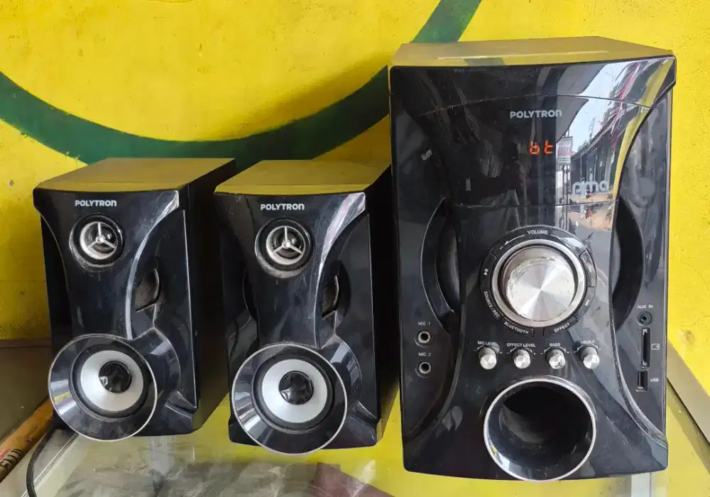 Speaker Polytron