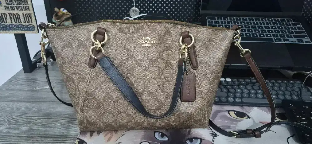 Coach Sling Bag