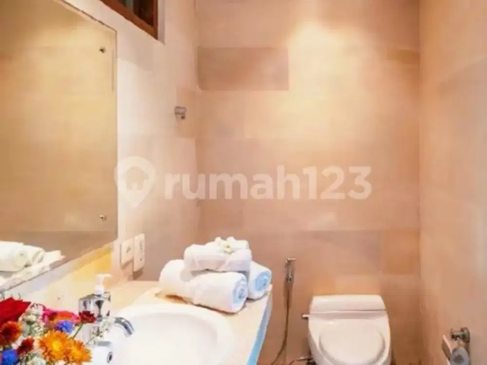 For Rent Villa Canggu + Apartemen