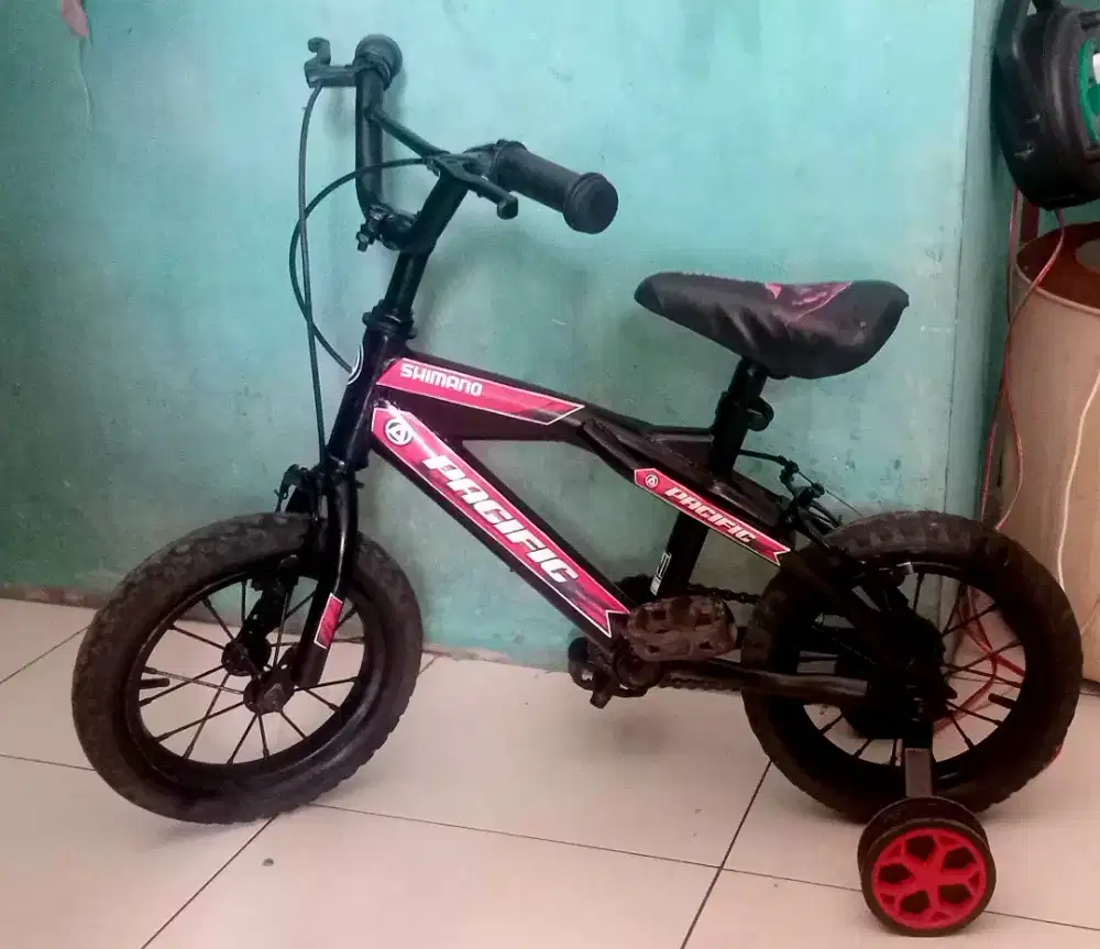 Seoedah anak usiab3 sampai 5 tahun