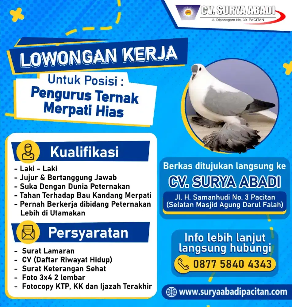 Di buka Lowongan Kerja Sebagai Pengurus Ternak