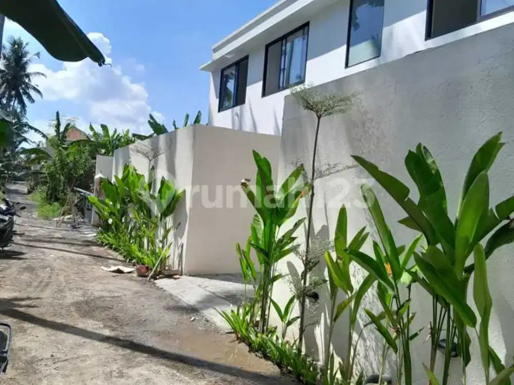 Luxury Villa For Rent - Abiansemal (Near Green School)