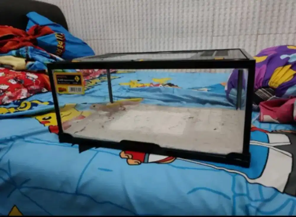 Aquarium Akrilik nikita