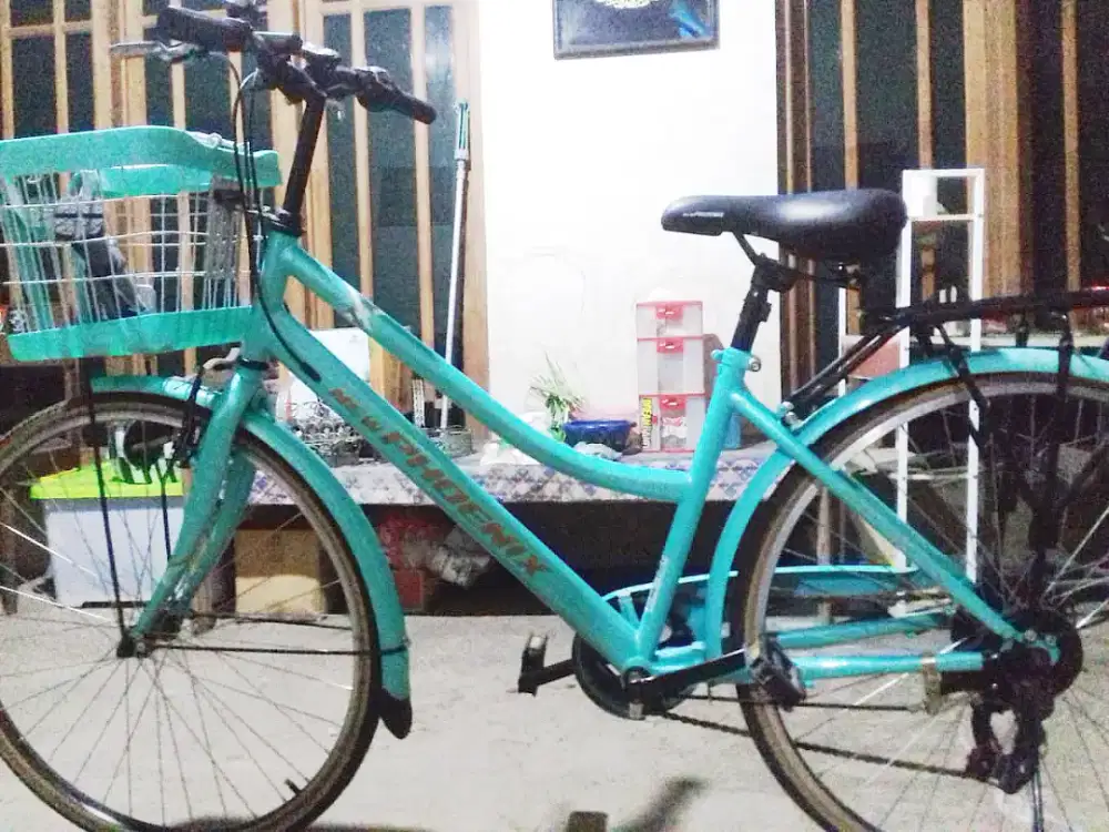 Sepeda Keranjang New Phoenix