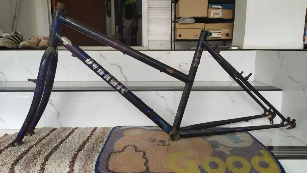 Frame & Fork Dynamic